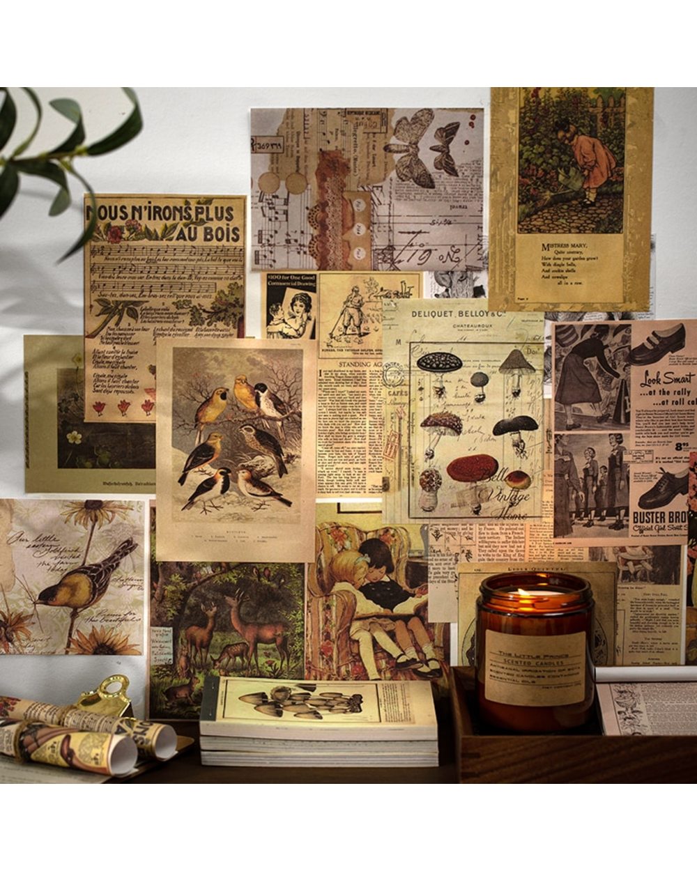 60pcs Time stamp plants Writable Material Vintage Decorative Paper Scrapbooking Background Paper front-3