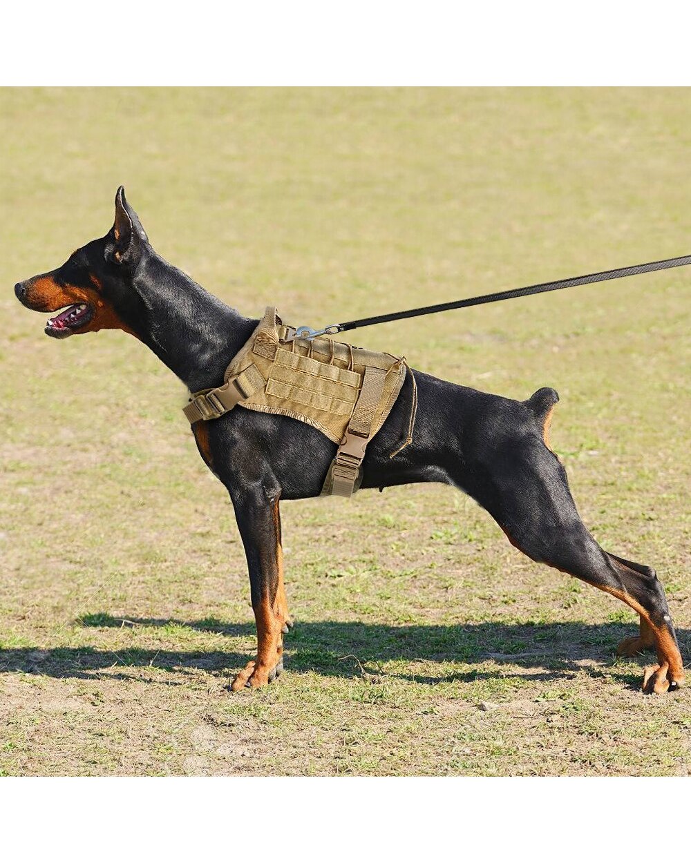 Military Tactical Dog Harness Working Dog Vest Nylon Bungee Leash Lead Training Running For Large Dogs German Shepherd front-4