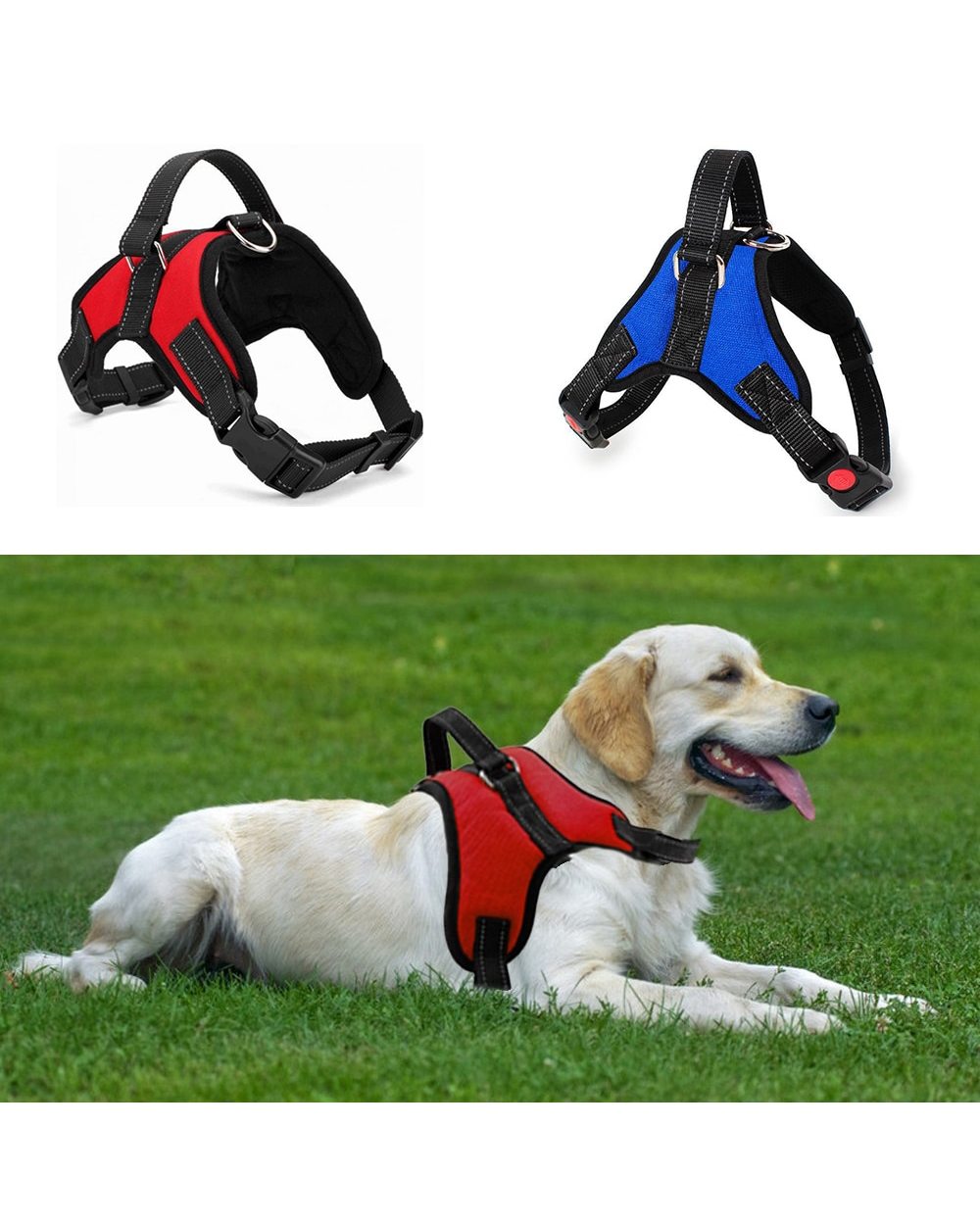 Dog Walking Harness front-0