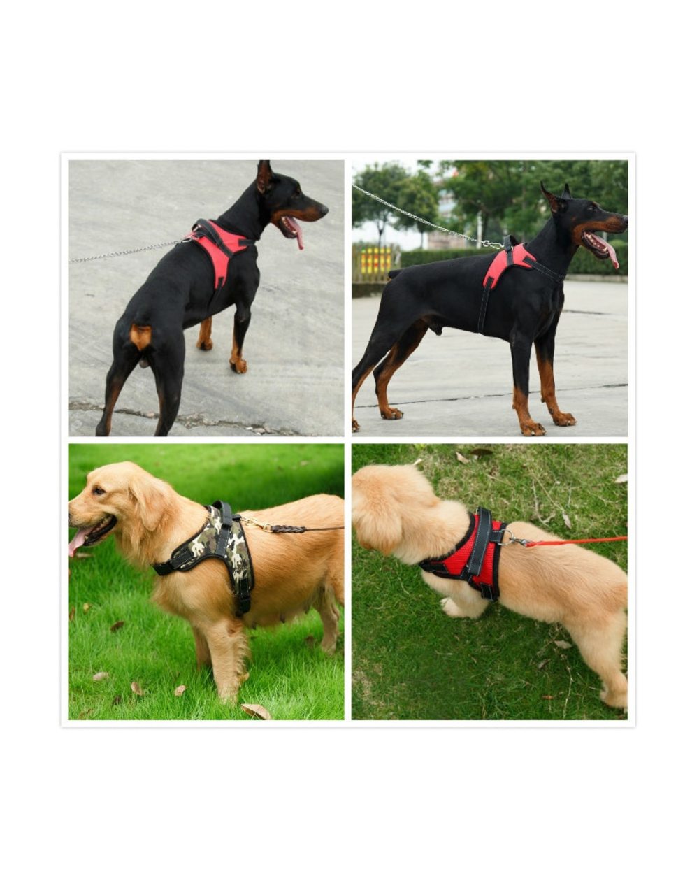 Dog Walking Harness front-5