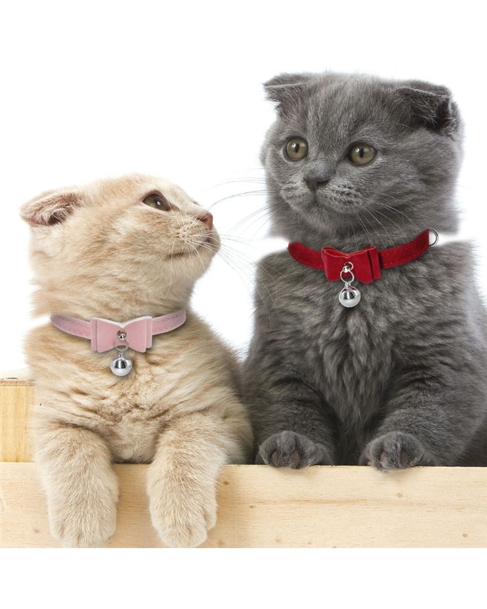 Cute Cat Collar Small Puppy Cat Collars Necklace with Bell for Dogs & Cats front-1