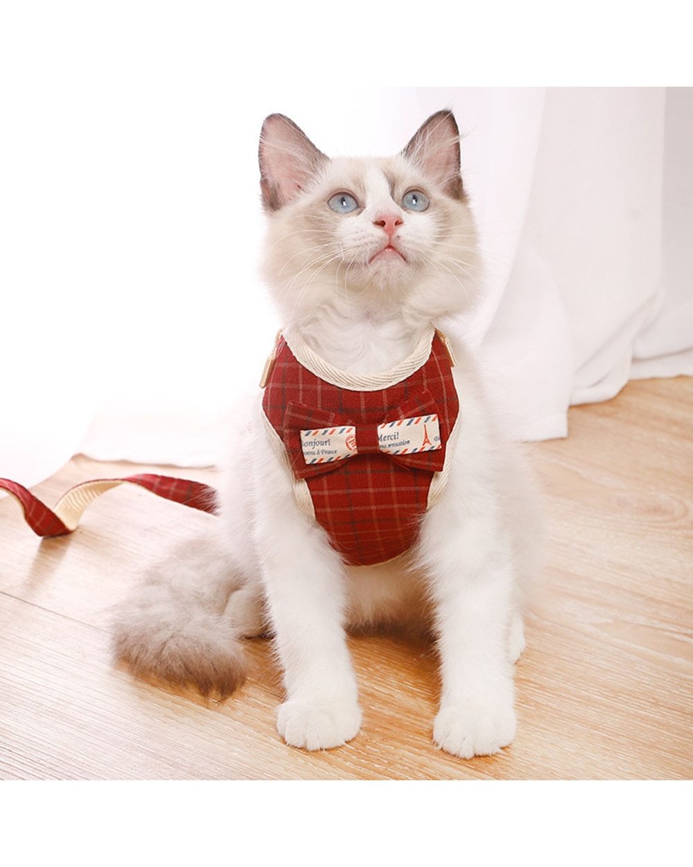 Adjustable Cat & puppy Lead Leash Clothes front-2