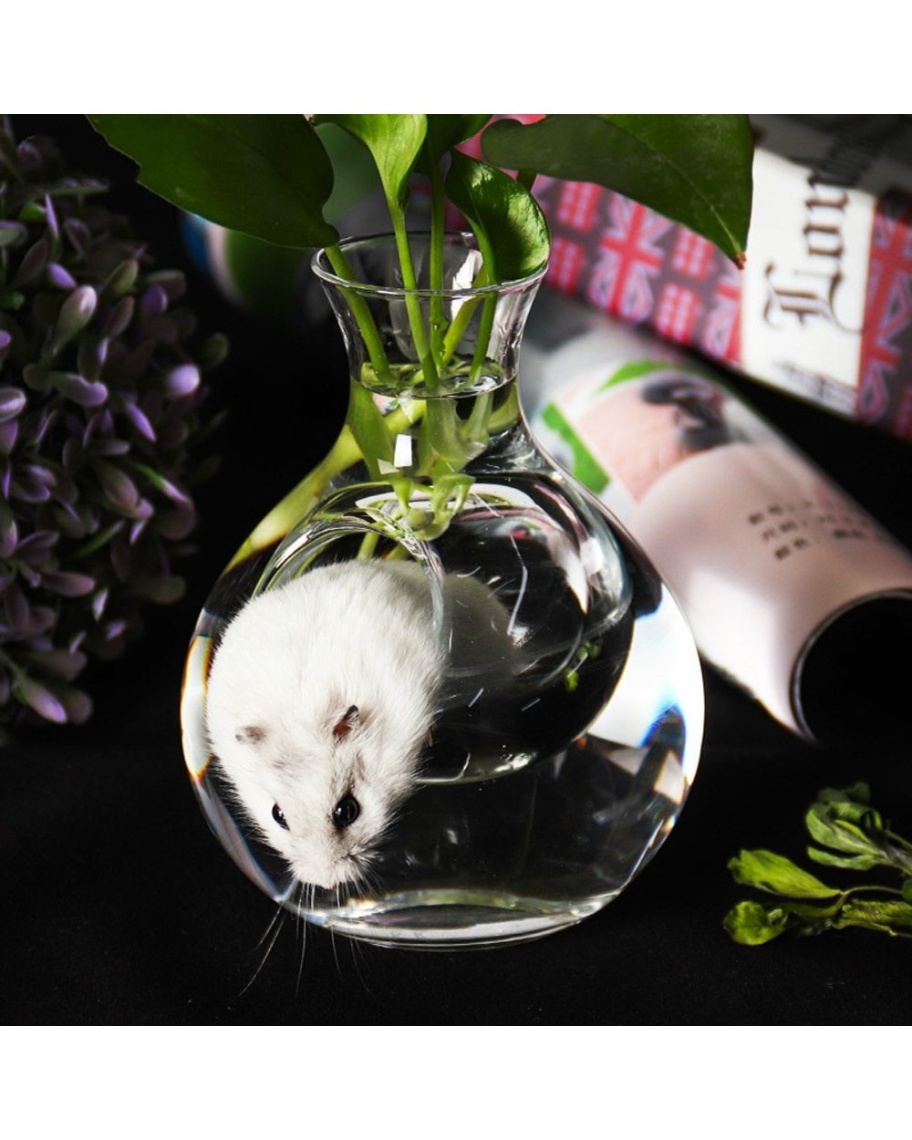 Hamster Ice Glass House Pet Cooling Bottle Pot Transparent Nest Bed for Chinchilla Squirrel Guinea Pig Rat front-1
