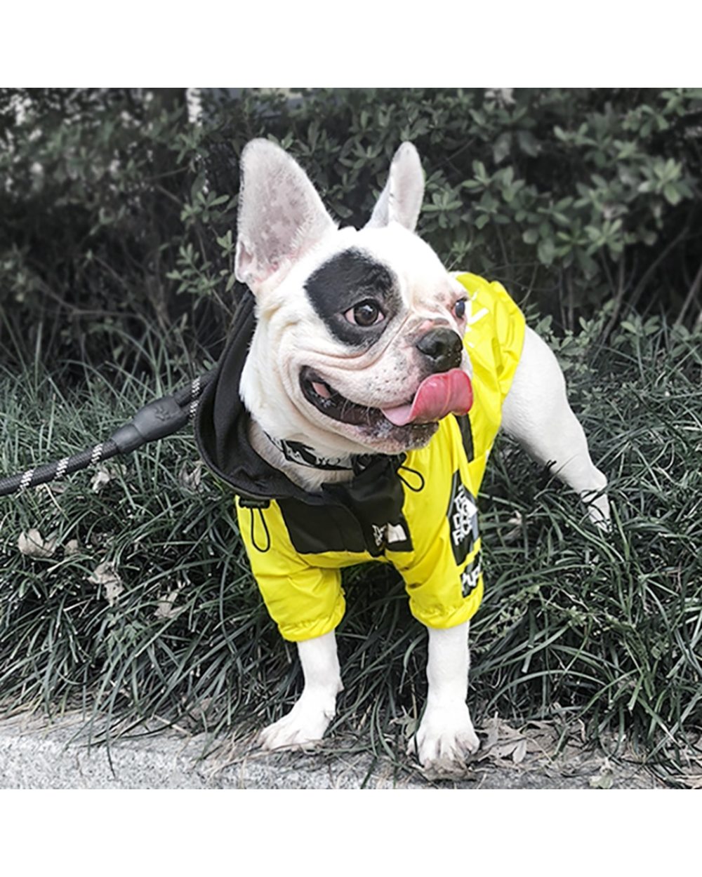 Pet Dog Waterproof Coat The Dog Face Pet Clothes Outdoor Jacket Dog Raincoat Reflective Clothes for Small Large Dogs front-5