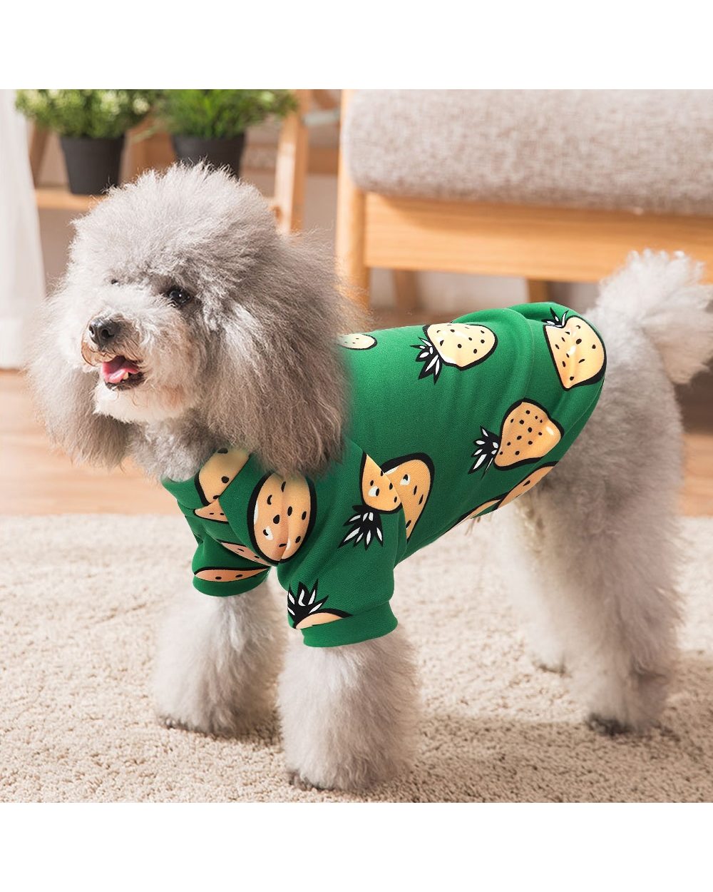 Cute Pet Cat Costume Clothes Soft Small Dogs Cats Hoodies Autumn Winter Kedi Katten Sphynx Sweatshirt Hoodie Warm front-4