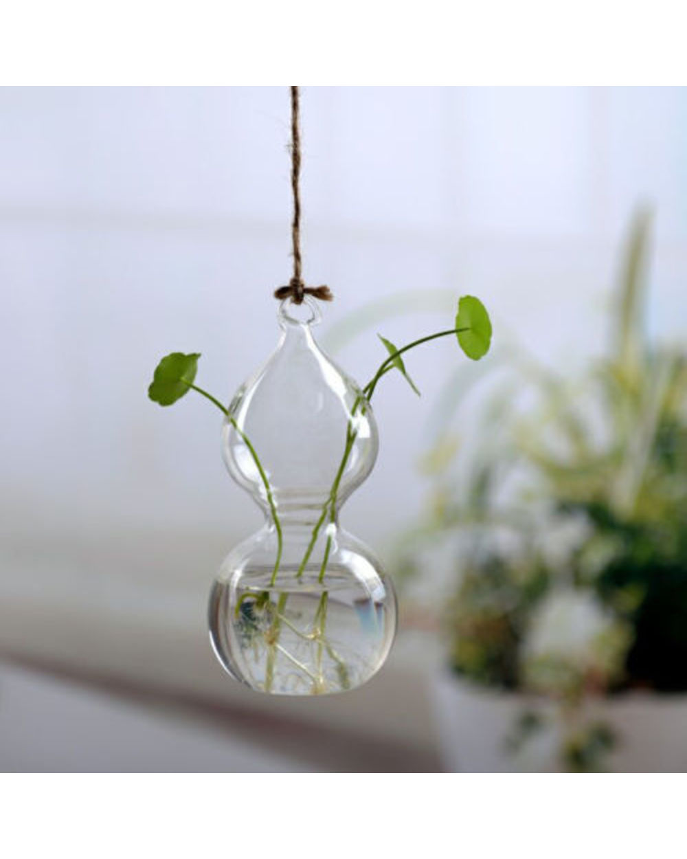 Home Garden Hanging Glass Ball Vase Flower Plant Pot Terrarium Container Party Wedding Decor Creative Hanging Decoration front-3