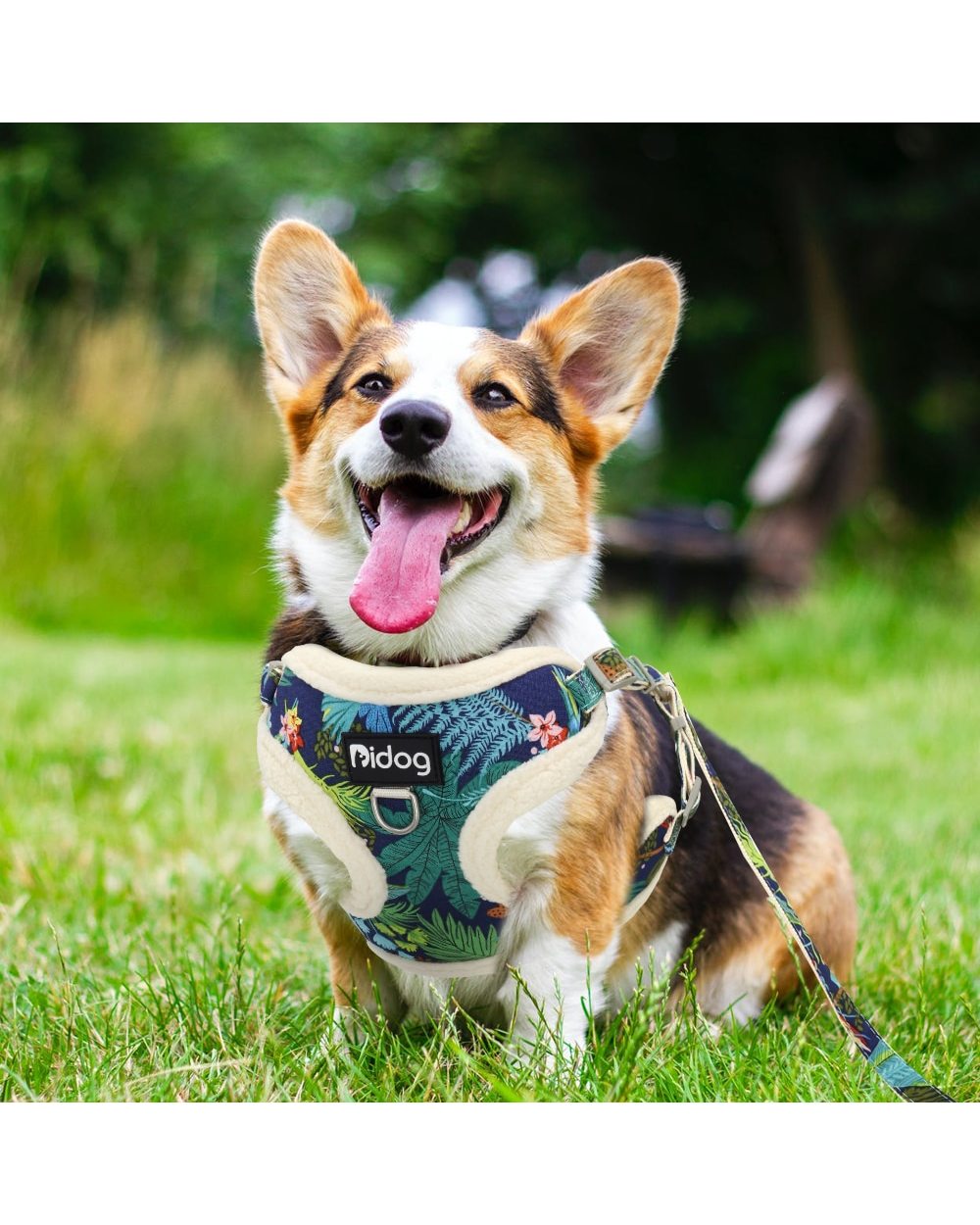 Soft Padded Mesh Harness Vest Leash For Small Dogs Chihuahua Printed Puppy Cat Harness Walking Running Leash Rope front-3