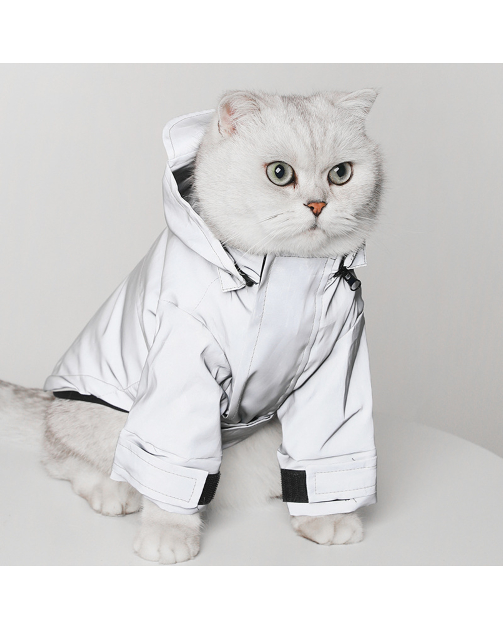 Reflective Ragdoll cat Raincoat Clothes Bichon Poodle Schnauzer Waterproof Clothing Welsh Costume front-4