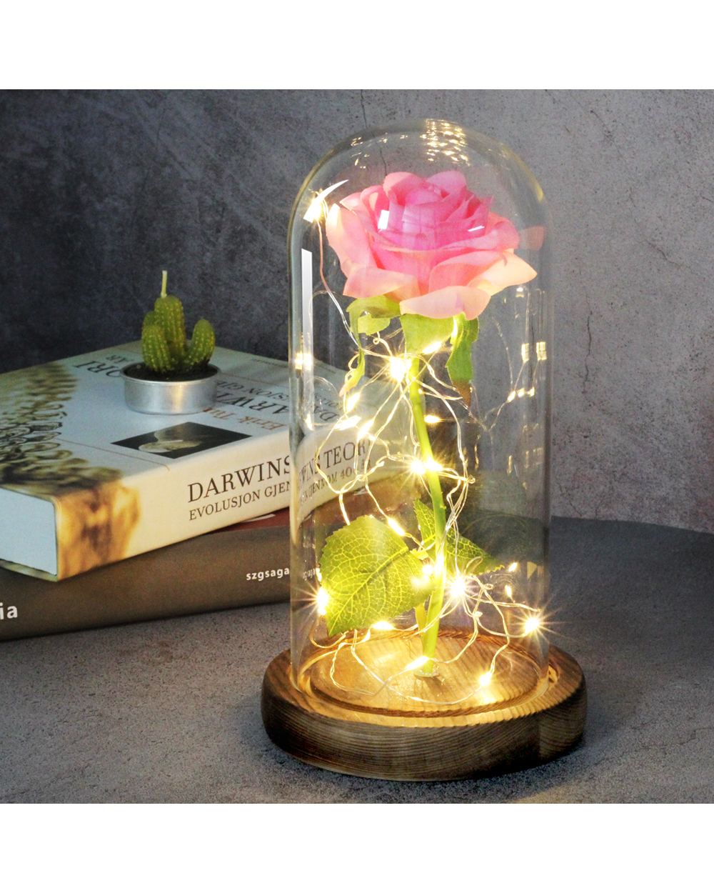 Eternal Rose LED Lamp front-1