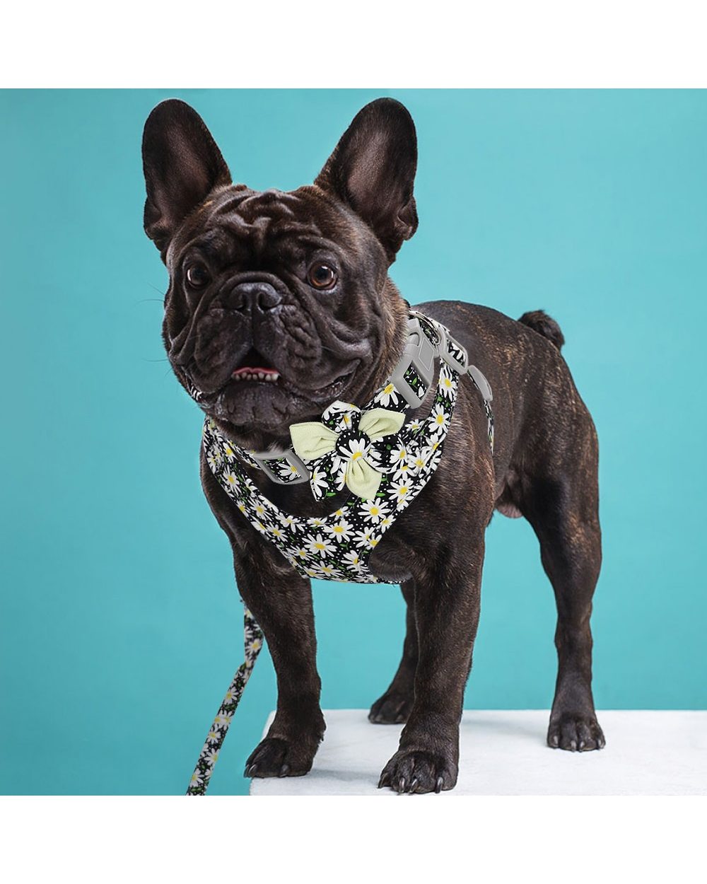 French Bulldog Harness Leash And Collar Set Printed No Pull Dog Harness Vest Leash Collar Set For Small Large Dogs front-4
