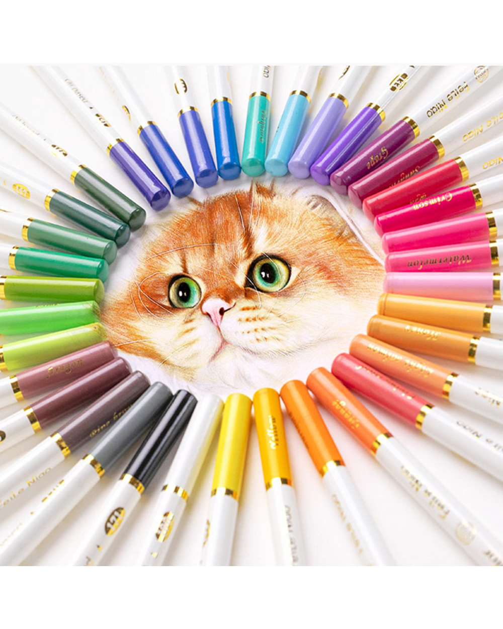 Andstal Phoenixcolor 72/48/36Colors Colored Pencils Professional Chinese Style Oil Color Pencil For Drawing Student Art front-1