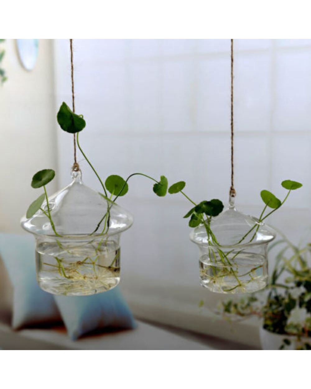 Home Garden Hanging Glass Ball Vase Flower Plant Pot Terrarium Container Party Wedding Decor Creative Hanging Decoration front-1